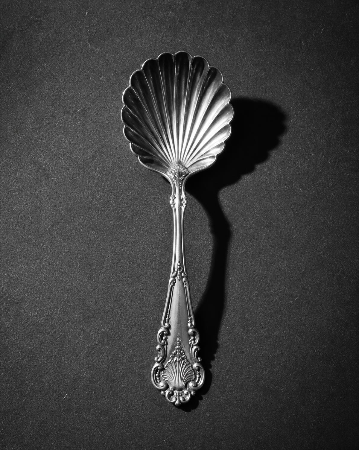 Black and white still life of an ornate silver shell spoon